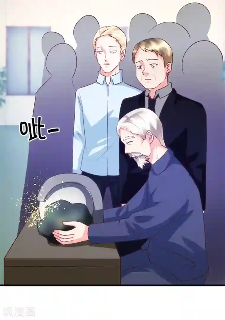 透视仙医第88话 高价买废料