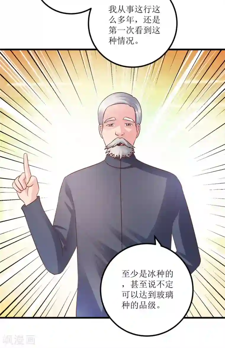 透视仙医第89话 狗屎料出冰种