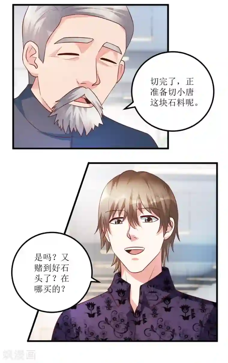 透视仙医第89话 狗屎料出冰种