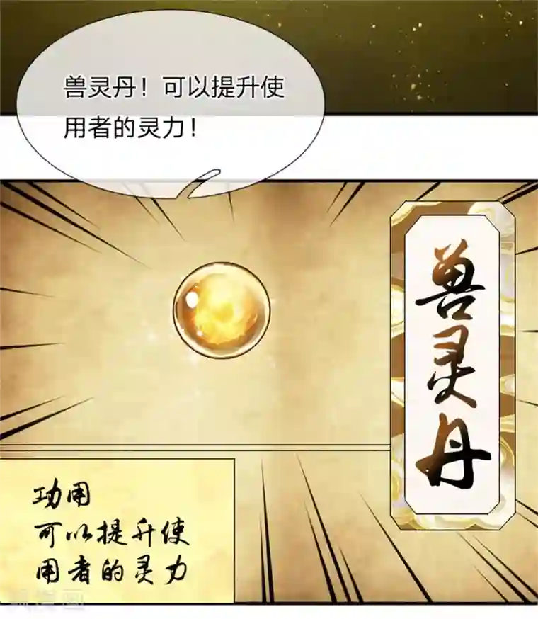 逆天剑神第331话 兽核兽骨，兽灵丹成