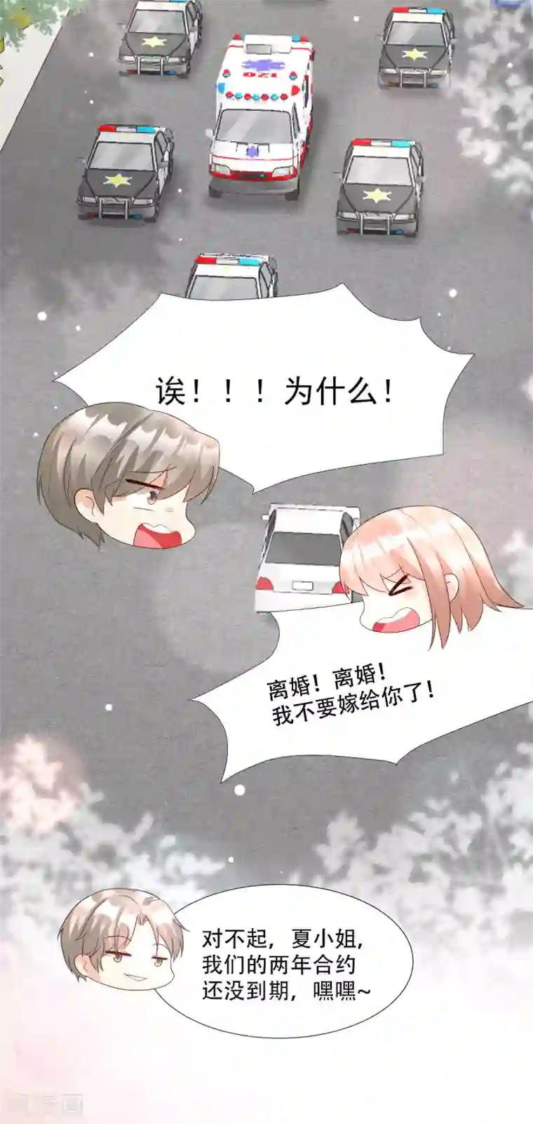 独家宠爱：我的甜心宝贝第1季最终话 这婚礼还办吗？