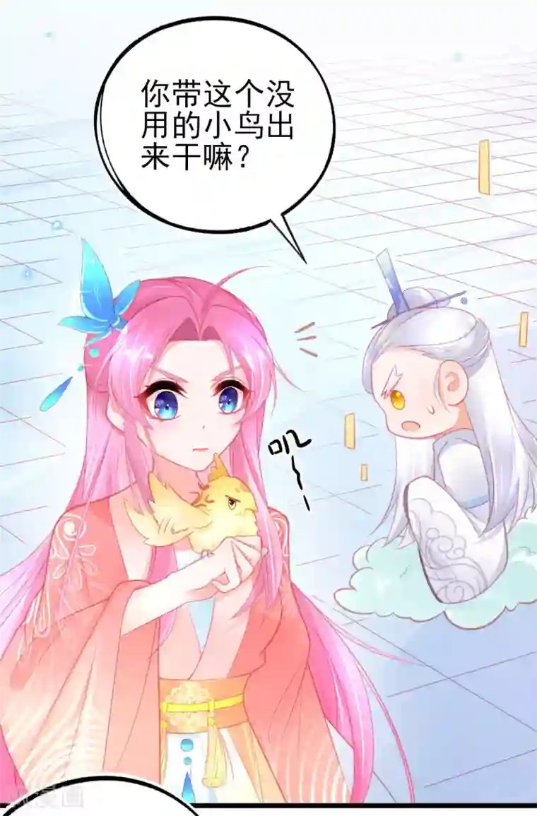 本王妃神藤在手第96话 擂台赛开始了