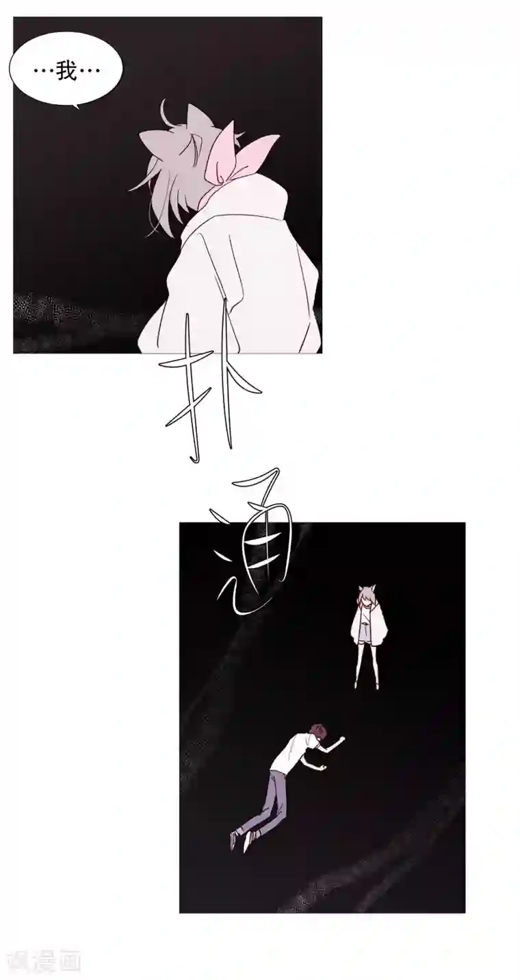 动物灵魂管理局第107话 倾听你的故事