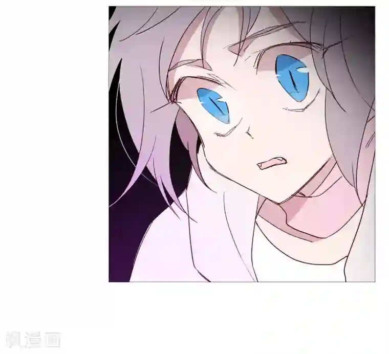 动物灵魂管理局第107话 倾听你的故事