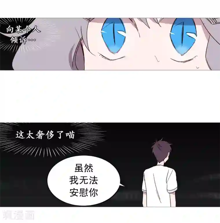 动物灵魂管理局第107话 倾听你的故事