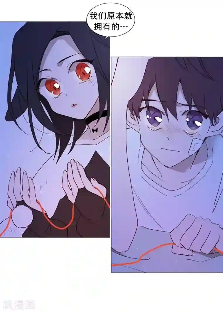 动物灵魂管理局第108话 红线