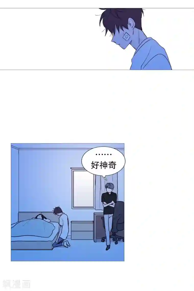 动物灵魂管理局第108话 红线