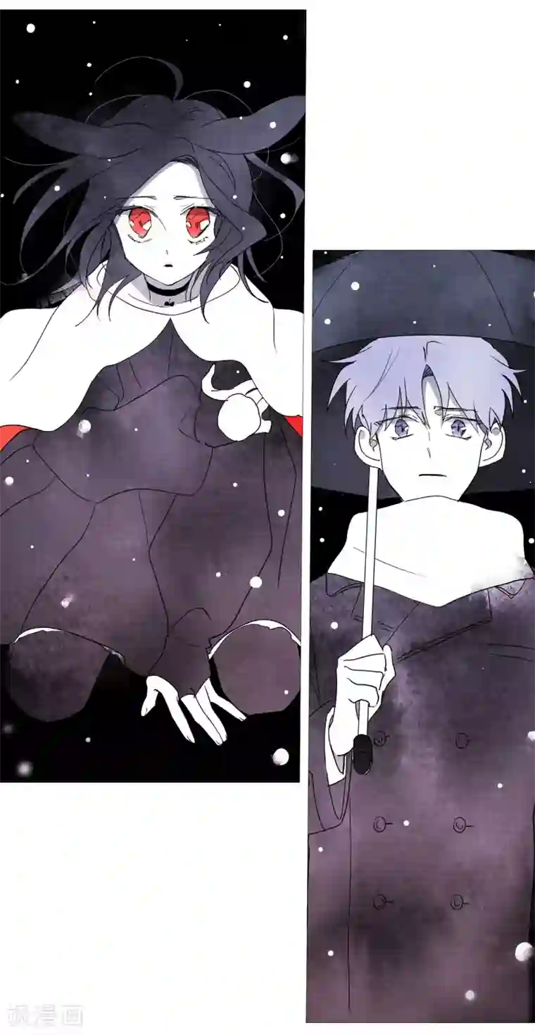 动物灵魂管理局第109话 肩膀