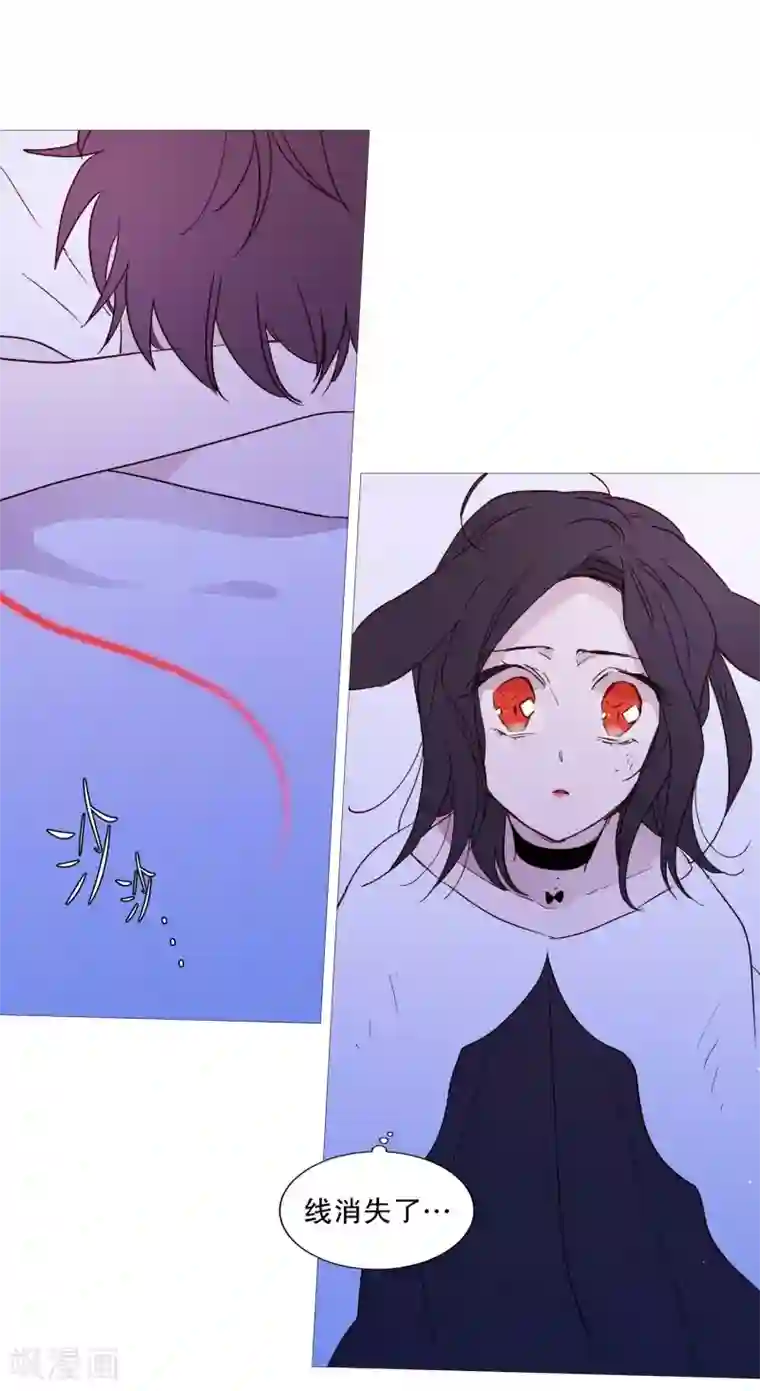 动物灵魂管理局第109话 肩膀