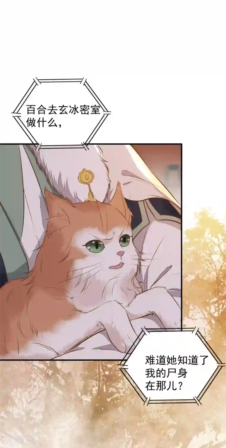 杀手王妃不好惹第50话 竟是亲姐妹