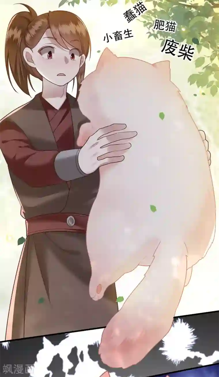 这个王妃路子野小剧场2