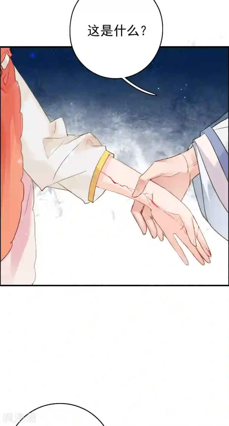 九州天空城之凤凰阵第66话 风息崩世