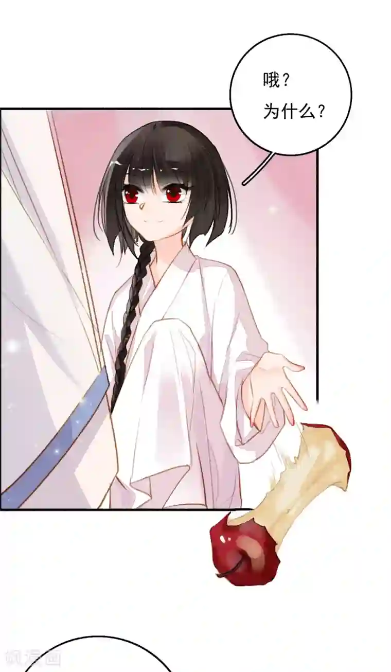 九州天空城之凤凰阵第88话 为了救她我什么都可以给你