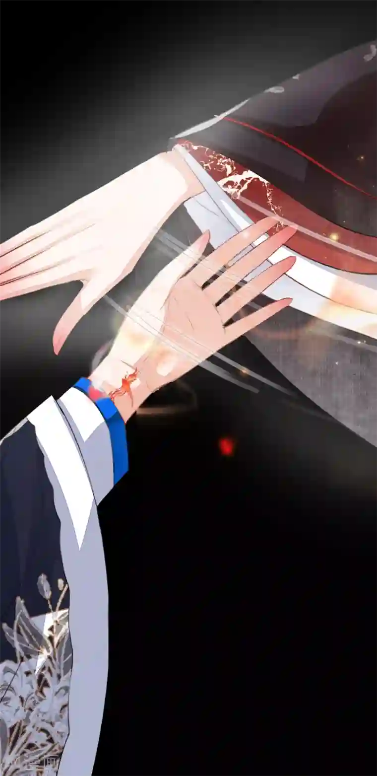 九州天空城之凤凰阵第101话 涅槃