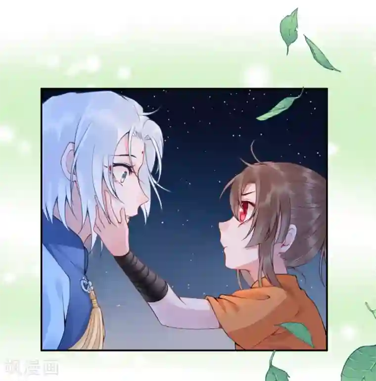 凰妃九千岁番外2 过去篇2