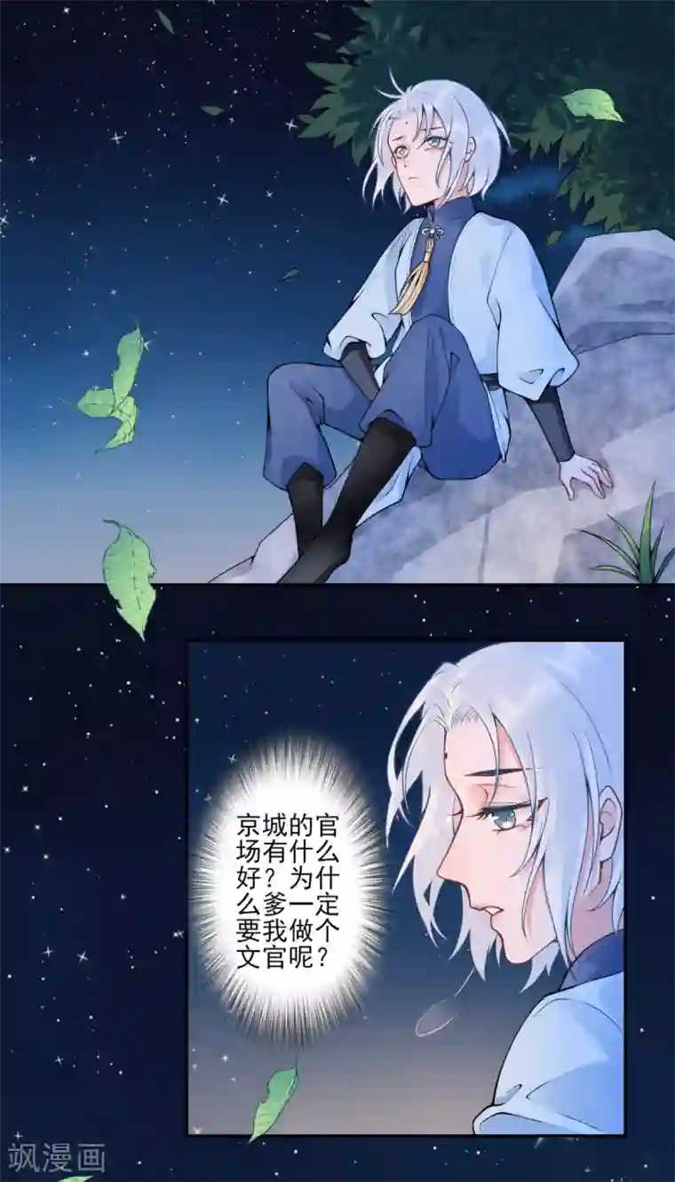 凰妃九千岁番外2 过去篇2