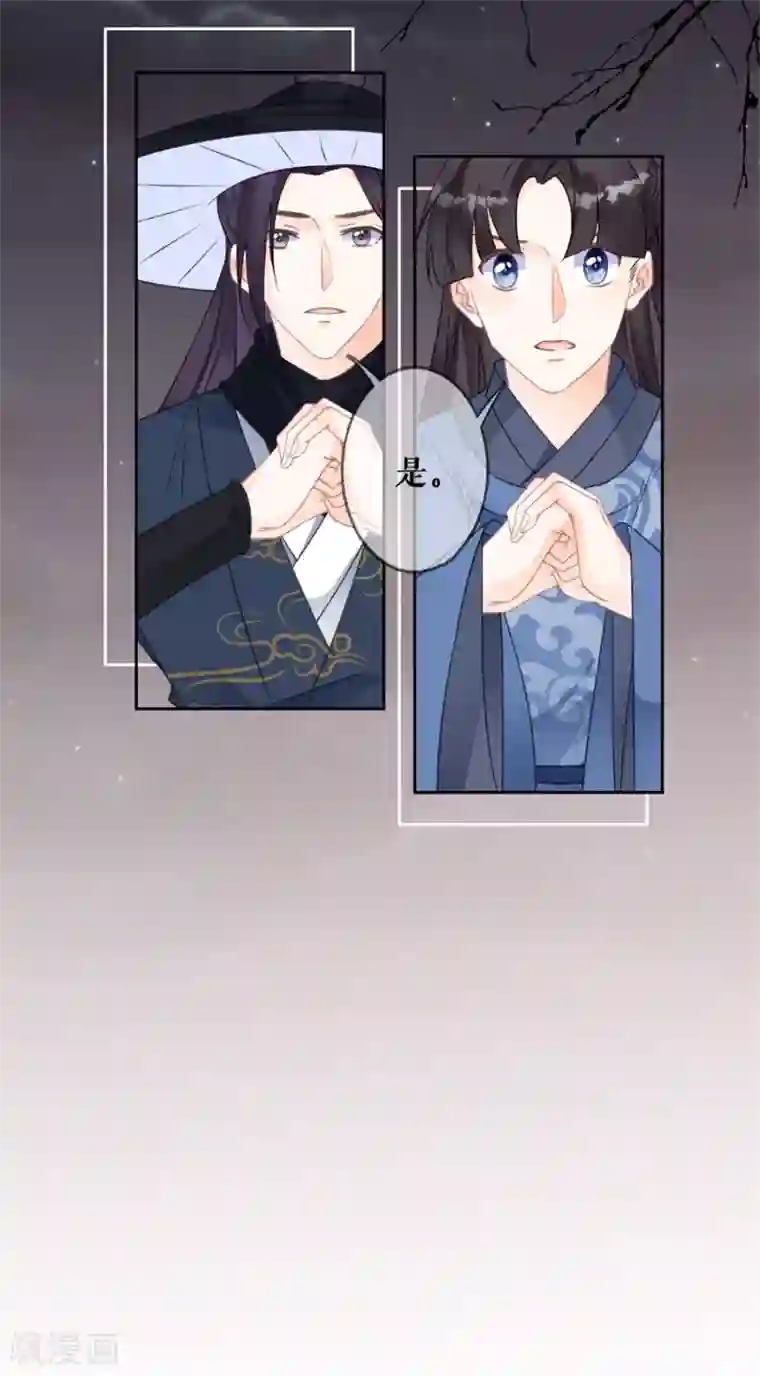 桑落醉在南风里第76话 秦府白事