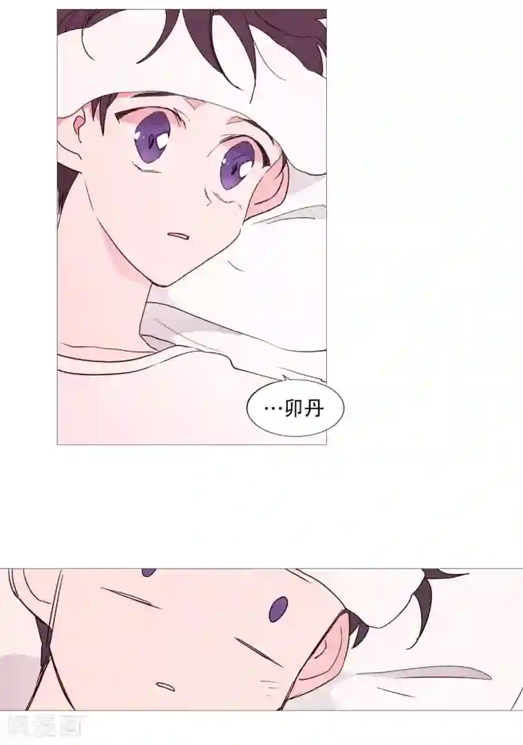 动物灵魂管理局第110话 暧昧的空气