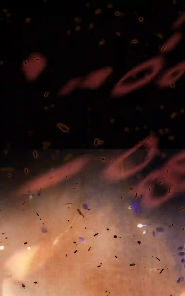 杀手王妃不好惹第51话 莫莜莜肉身被毁