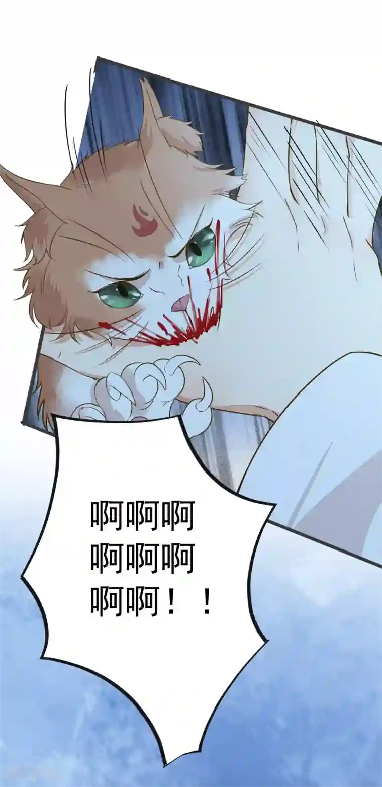 杀手王妃不好惹第51话 莫莜莜肉身被毁