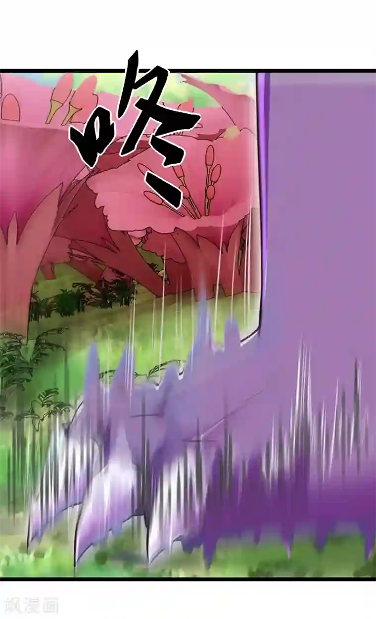 精灵梦叶罗丽第68话 一起打怪兽