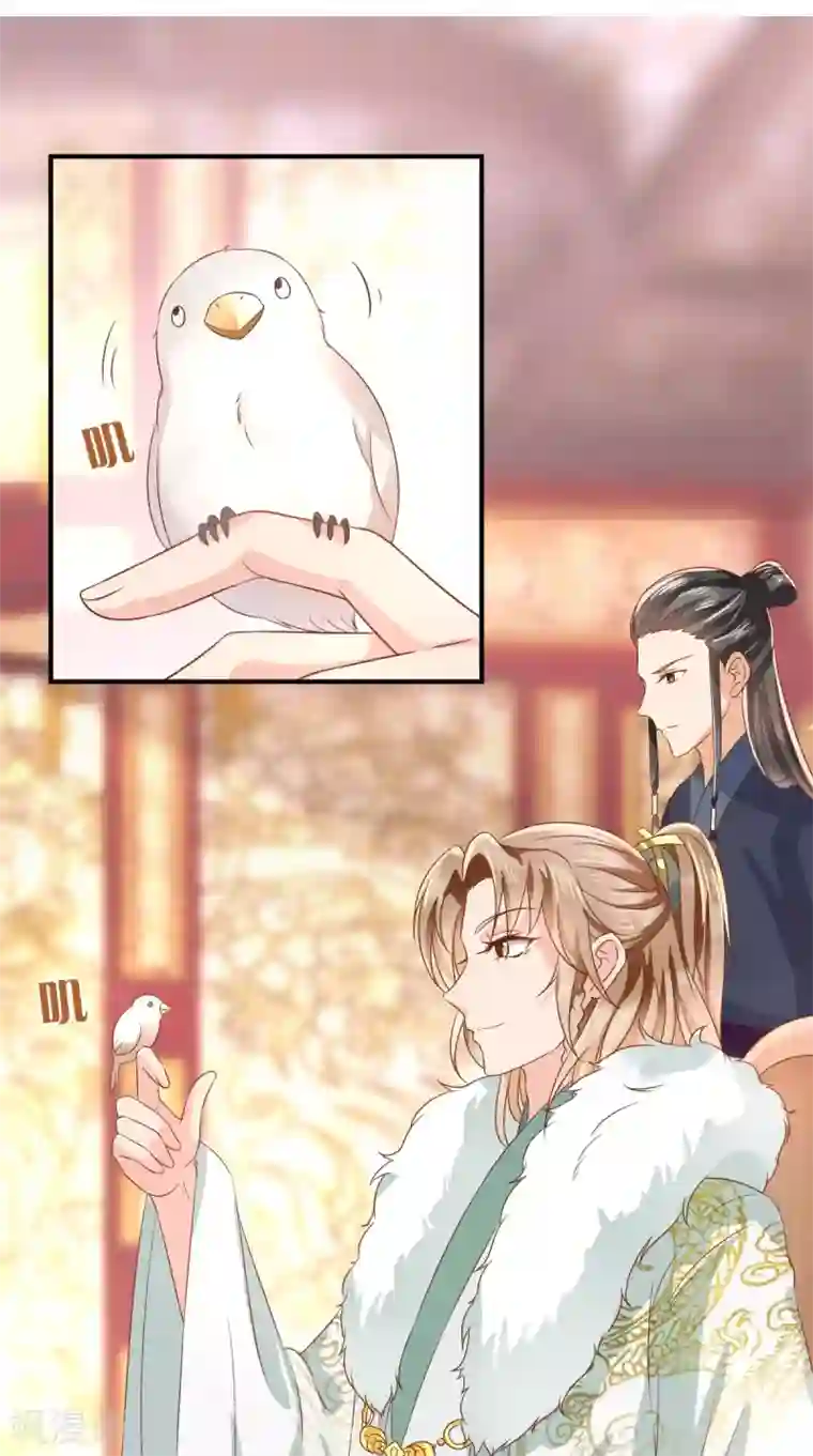 痴傻毒妃不好惹第129话 传位诏书