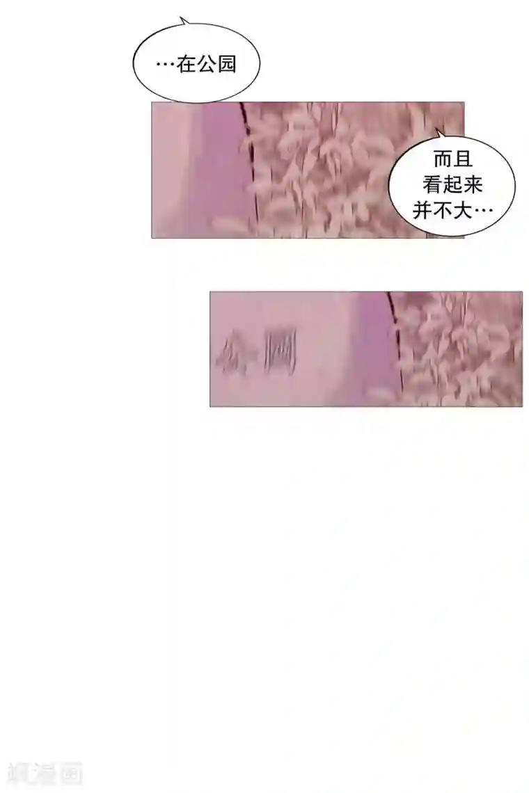 动物灵魂管理局第112话 线索