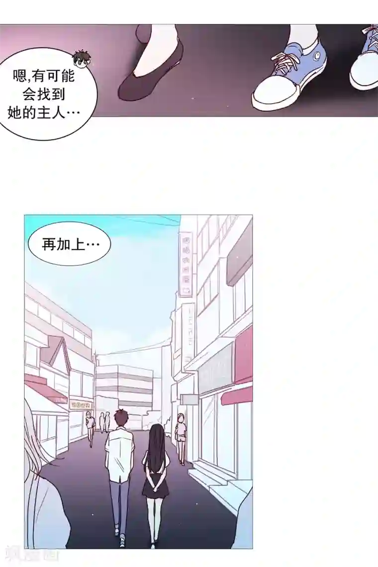 动物灵魂管理局第112话 线索