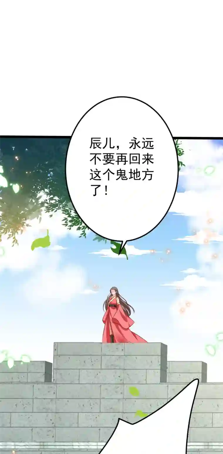 将军在上：穿越萌妃要逆袭番外 回忆往事