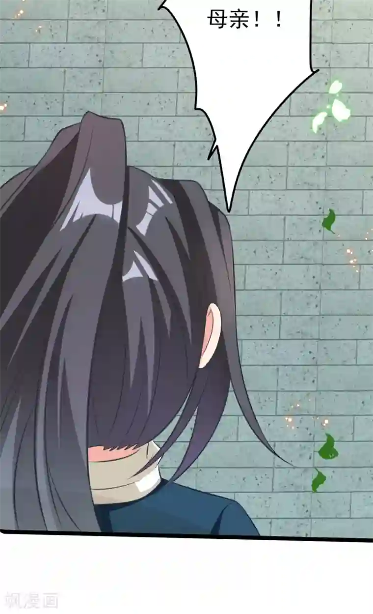 将军在上：穿越萌妃要逆袭番外 回忆往事