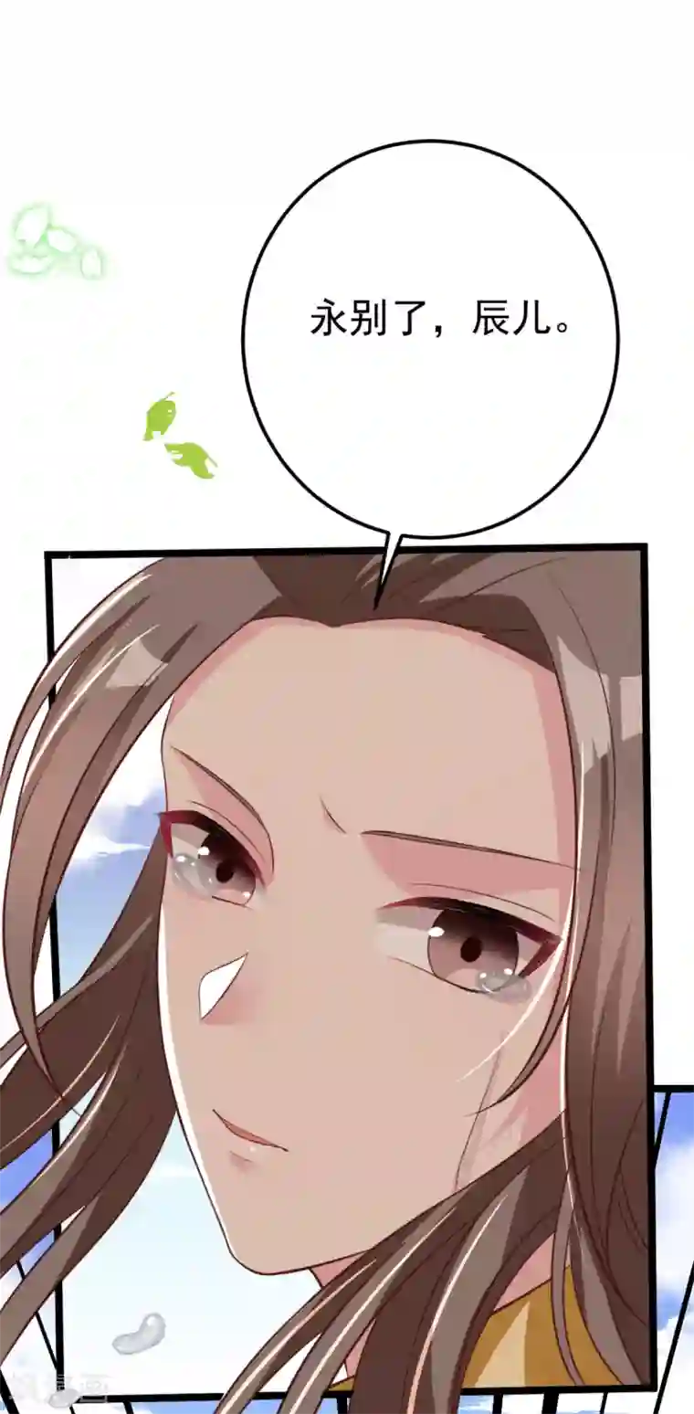 将军在上：穿越萌妃要逆袭番外 回忆往事