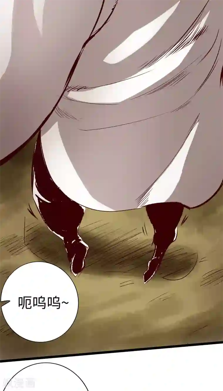 通天之路第31话