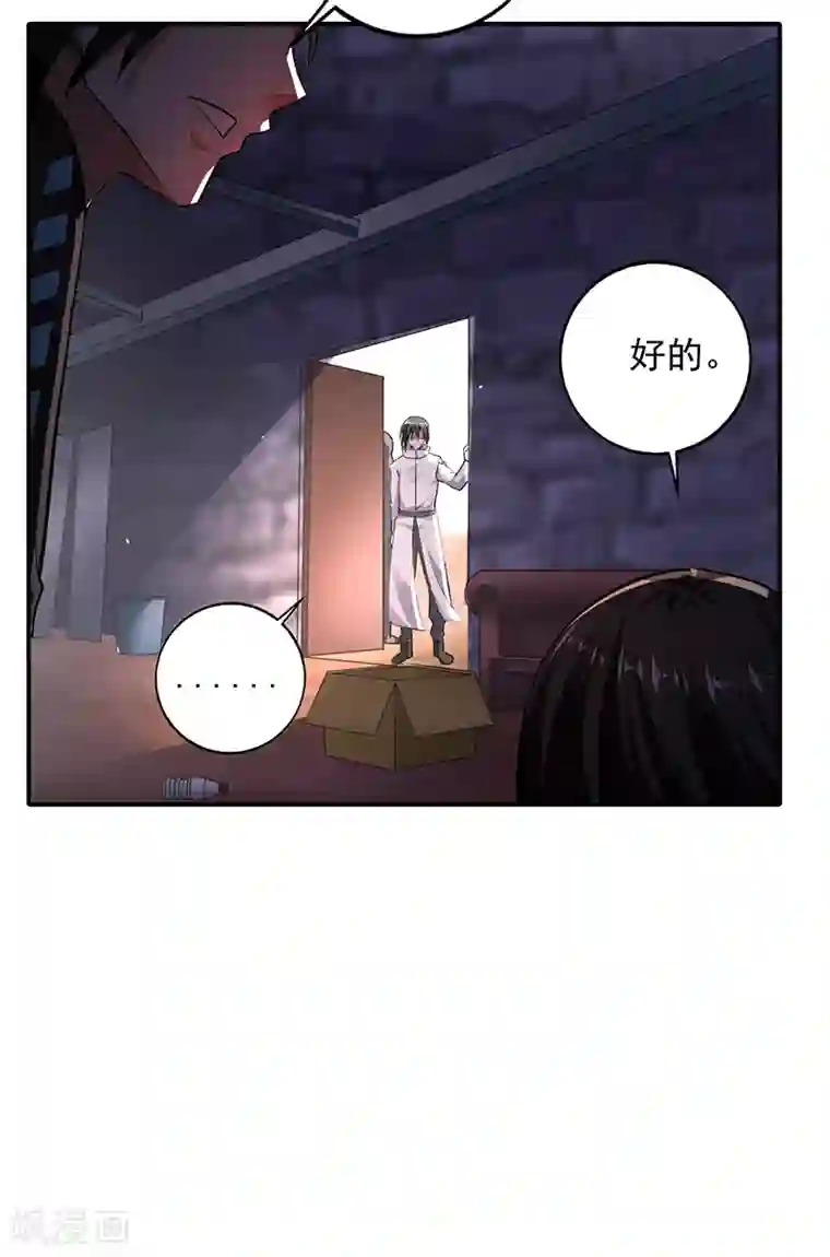 近身保镖第102话 最终计划