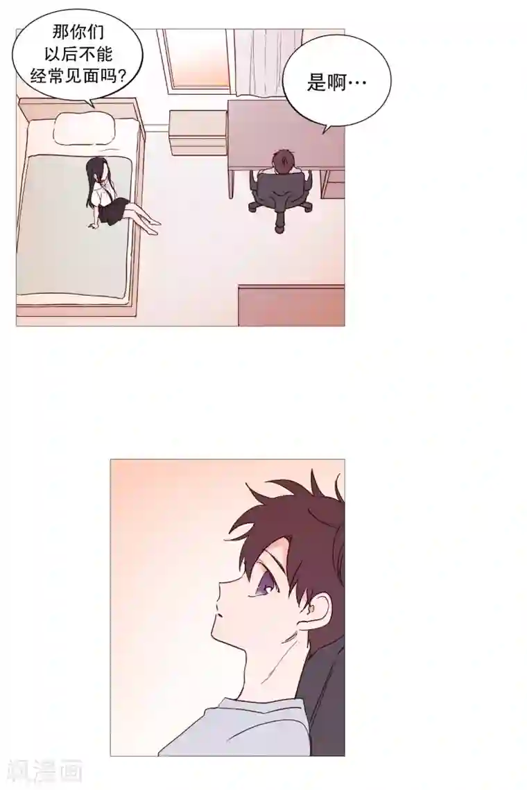 动物灵魂管理局第114话 没有开始就结束