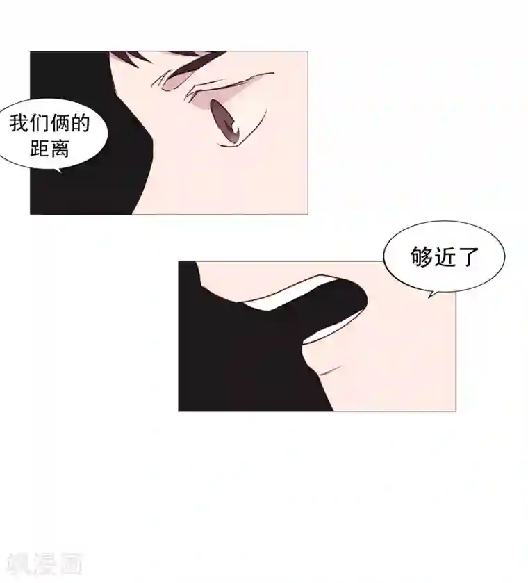 动物灵魂管理局第115话 寻找