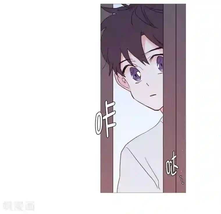 动物灵魂管理局第115话 寻找