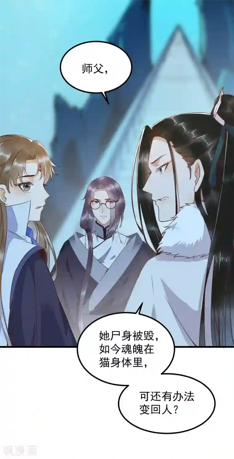 杀手王妃不好惹第54话 正太小龙的cp