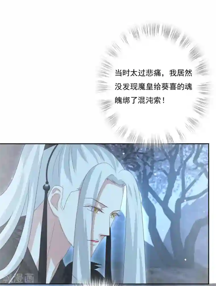 冷邪冥王的心尖宠第31话 混沌索