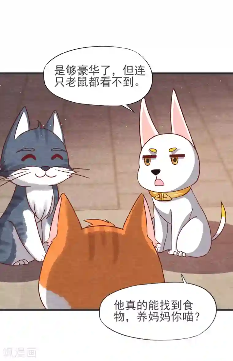 杨戬第21话 后爹