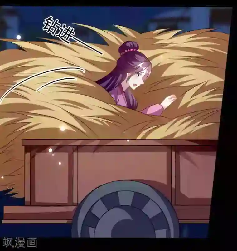 坏心王爷别惹我第217话 逃跑计划