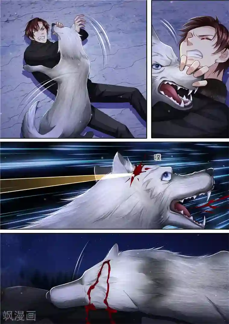 天价豪门:夫人又跑了第308话 偷袭