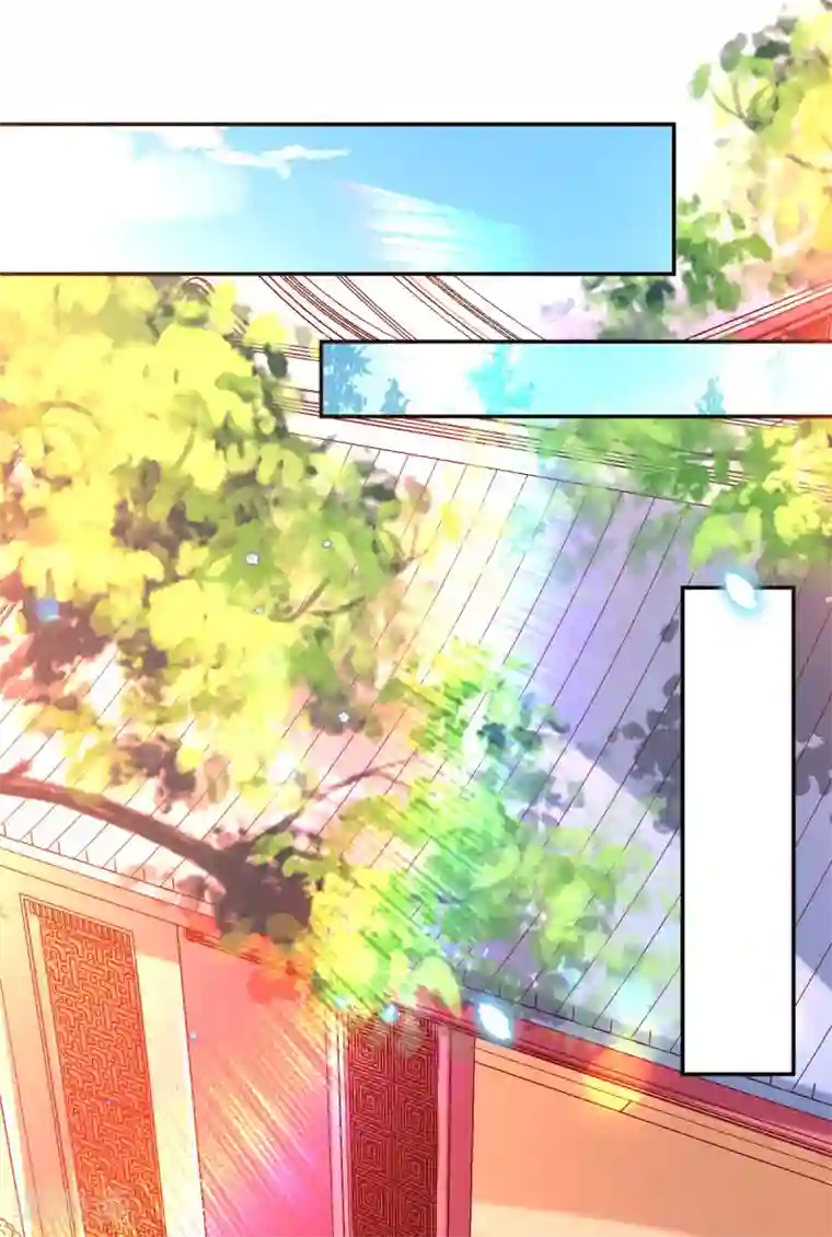 惊世狂妃第61话 挑选专属护卫