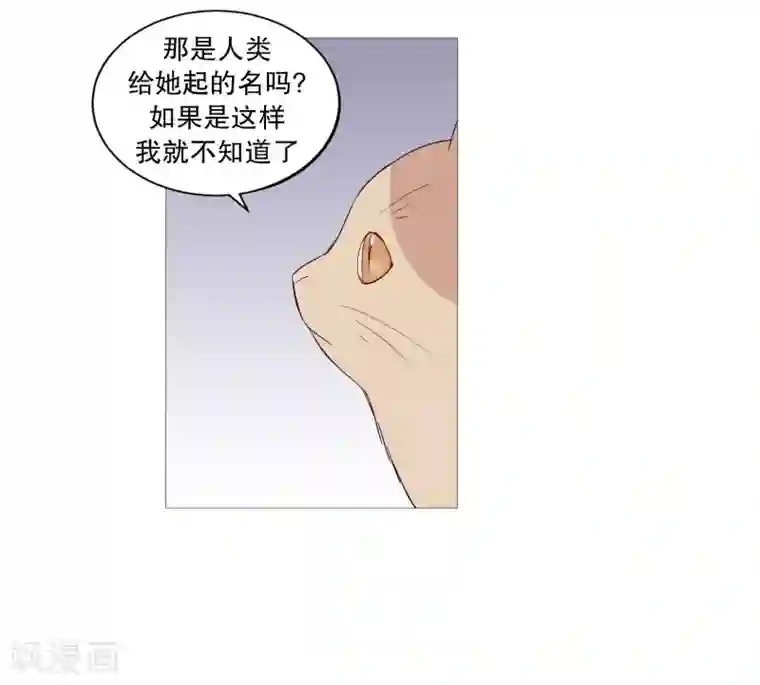 动物灵魂管理局第116话 公园