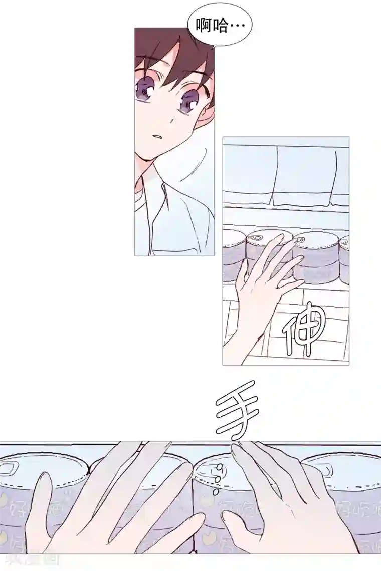 动物灵魂管理局第116话 公园