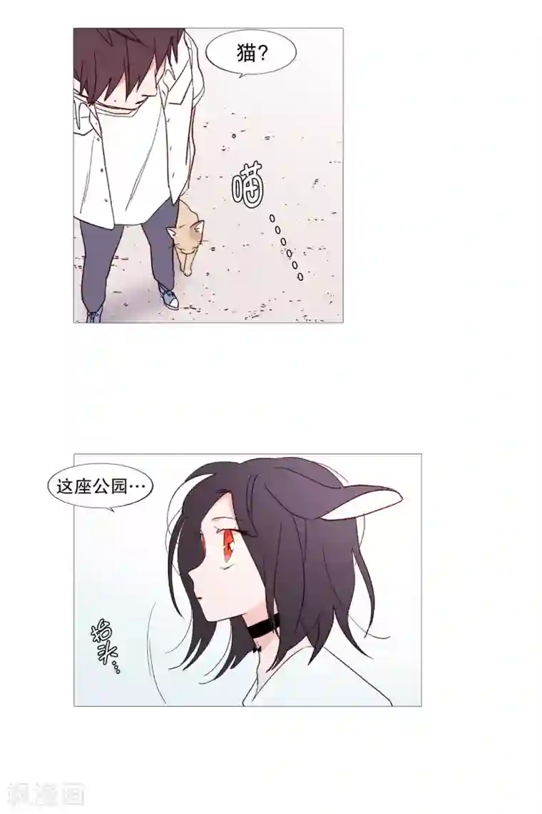 动物灵魂管理局第116话 公园