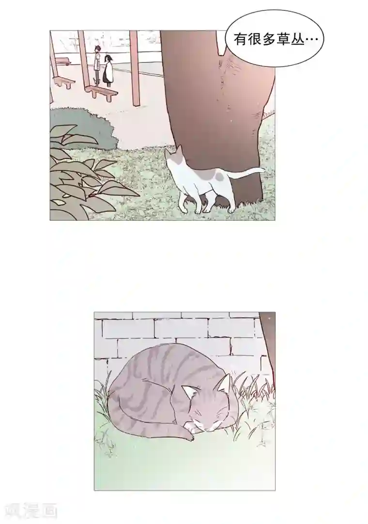 动物灵魂管理局第116话 公园