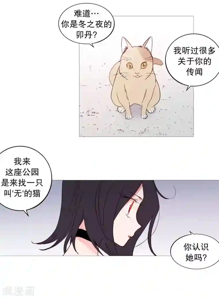 动物灵魂管理局第116话 公园