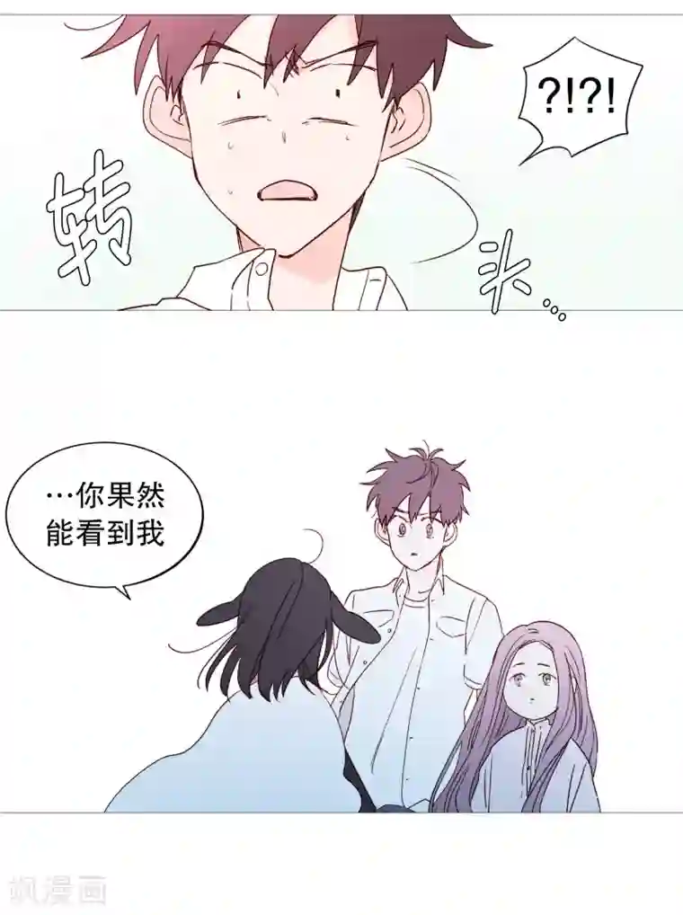 动物灵魂管理局第117话 小女孩