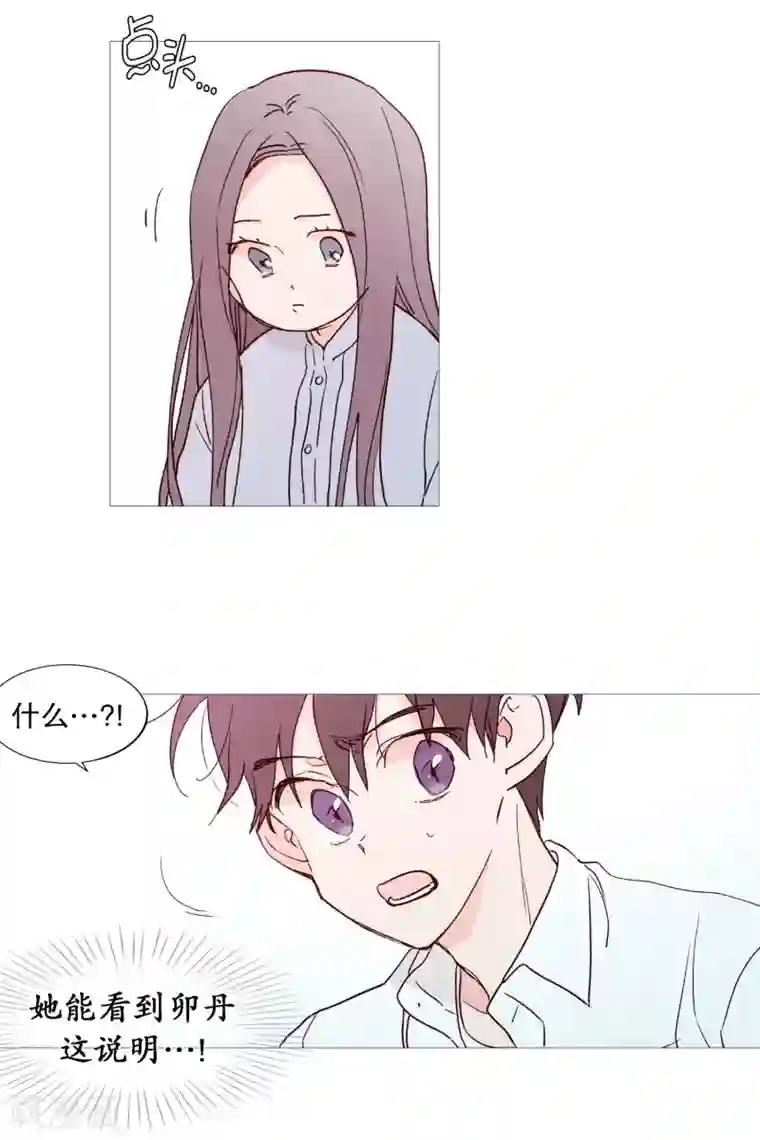 动物灵魂管理局第117话 小女孩