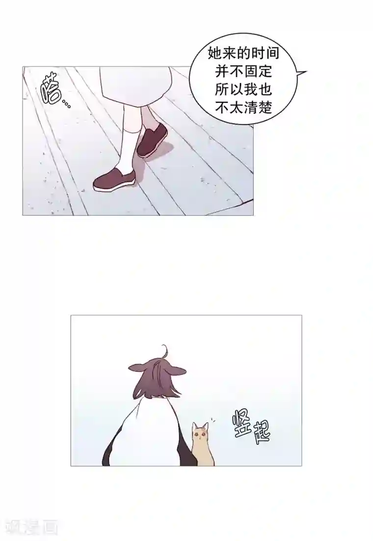 动物灵魂管理局第117话 小女孩